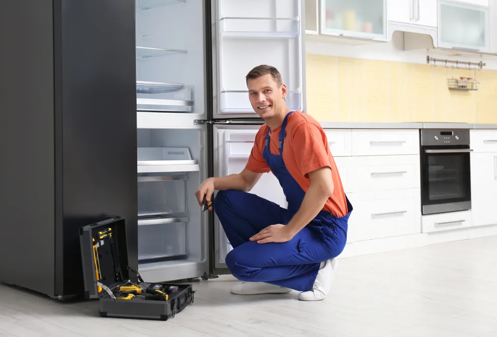 Buca Protherm buzdolabı servisi teknisyen