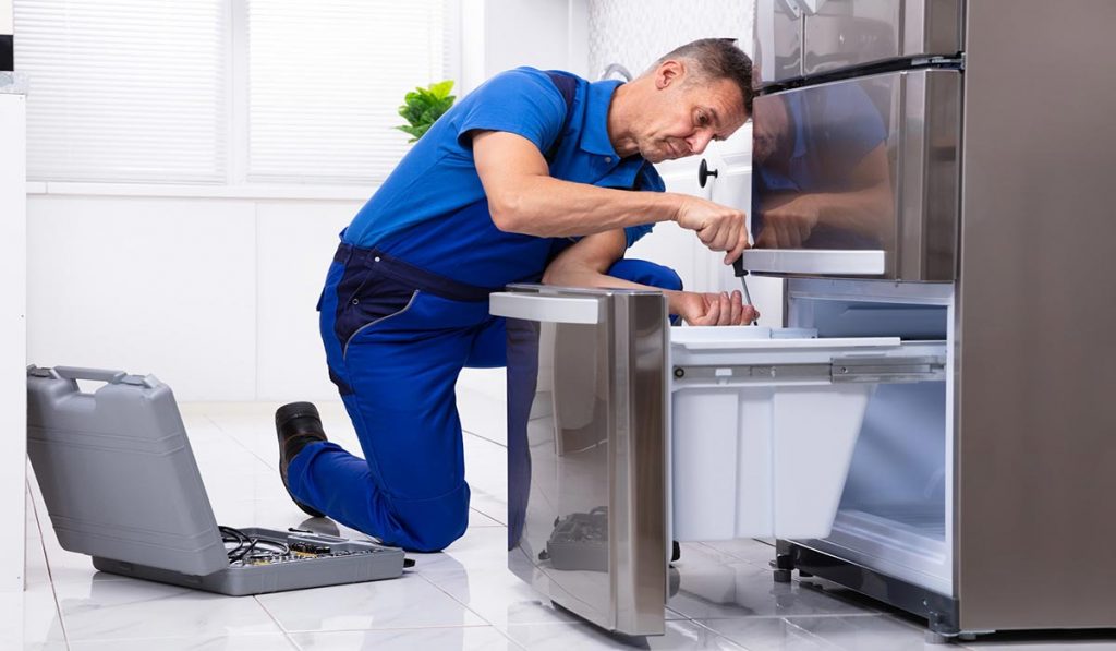 Buca Protherm buzdolabı servisi – yerinde onarım
